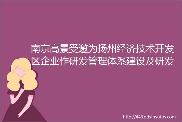 南京高景受邀为扬州经济技术开发区企业作研发管理体系建设及研发费用归集专题培训